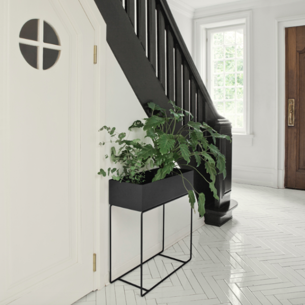 Plant Box