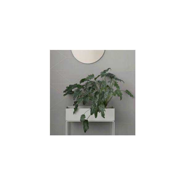 Plant Box