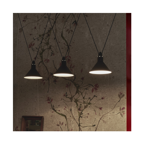 Les Acrobates de Gras N° 323, conic L