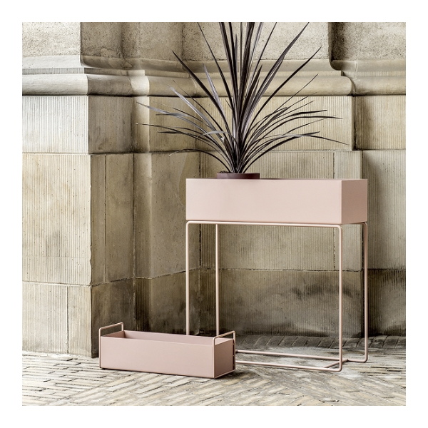 Plant Box
