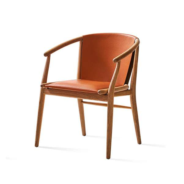 B&B Italia_jens armchairSJ61BR_leather