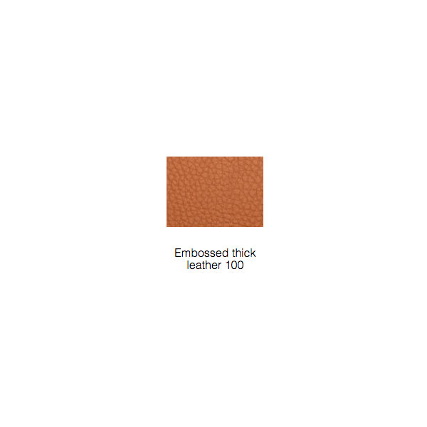 B&B Italia_jens armchairSJ61BR_leather
