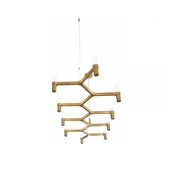 crown plana linea gold