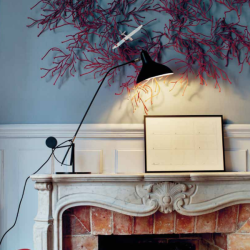 lampe gras_Mantis BS 3