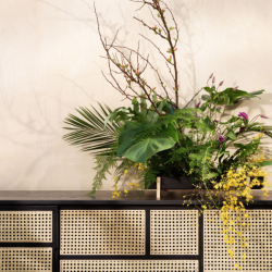 dhs_air sideboard low