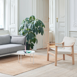 Hay_Bernard_matt lac oak frame