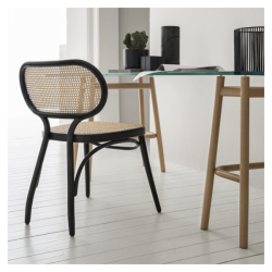 WienerGTV_bodystuhl_black_cane