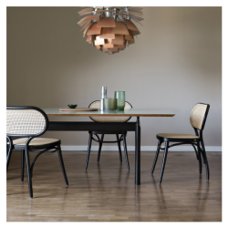 WienerGTV_bodystuhl_black_cane