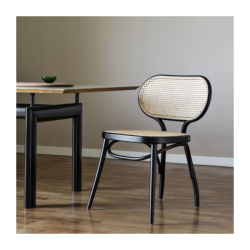 WienerGTV_bodystuhl_black_cane