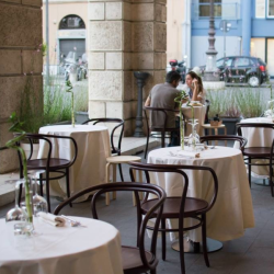 WienerGTV_wiener stuhl