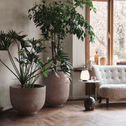 &tradition_little petra sofa VB2_moonlight_white oiled walnut