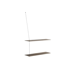 Stedge hylly, savutammi