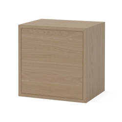 Case 1 x 1 Shelf Module with door, syv. 28 cm