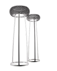 Caboche Grande, lattiavalaisin