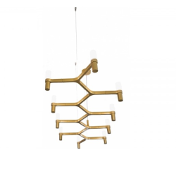 Crown Plana Linea, himmeäkiiltoinen/maalattu kulta